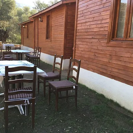 Kuruyanos Agac Evleri *