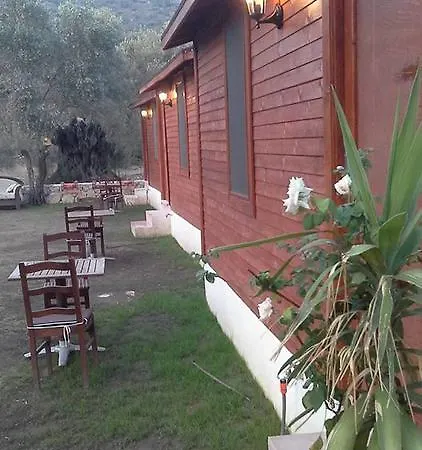 Kuruyanos Agac Evleri *