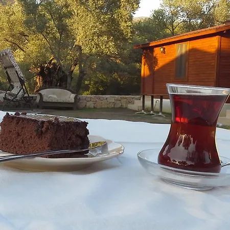 Kuruyanos Agac Evleri