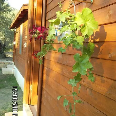 Kuruyanos Agac Evleri * Mesudiye (Datca)