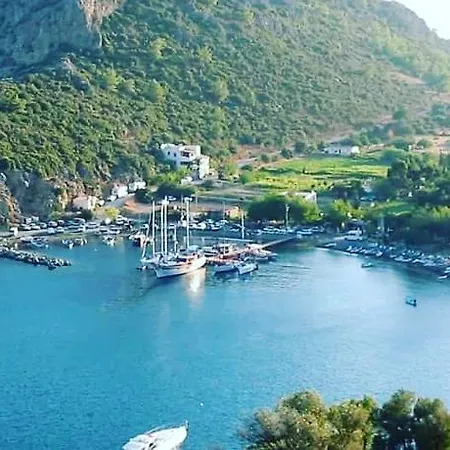 Guest house Kuruyanos Agac Evleri