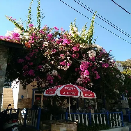 Guest house Kuruyanos Agac Evleri Mesudiye (Datca)